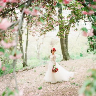 Meet Brklyn View Photography!