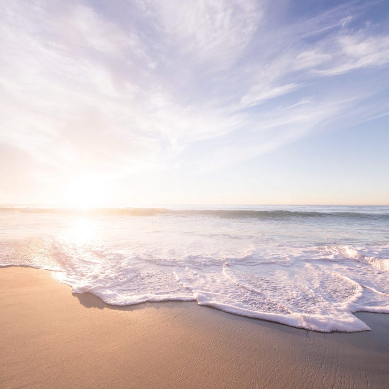 beach wedding videos nst pictures e