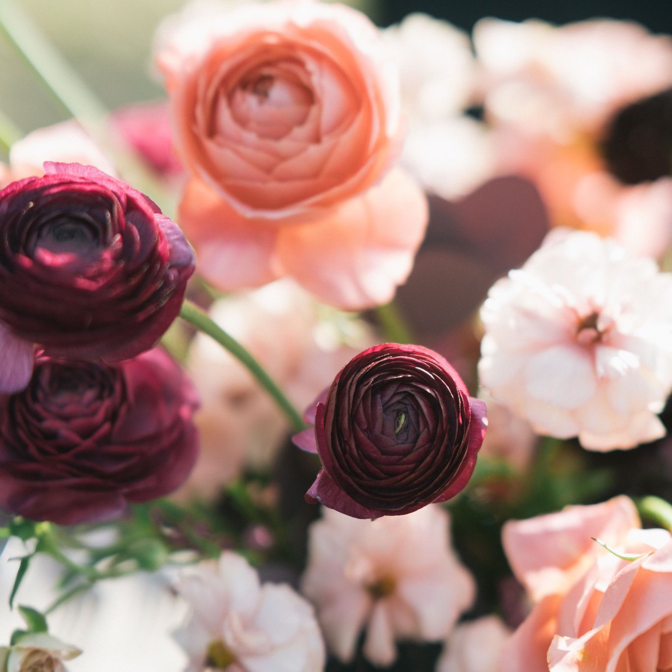 nst pictures wedding gifts