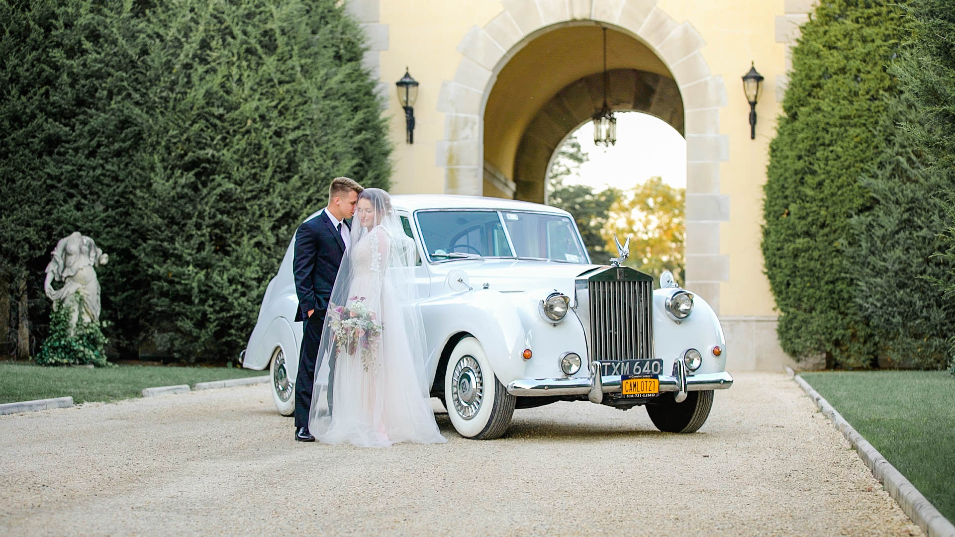 director's collection