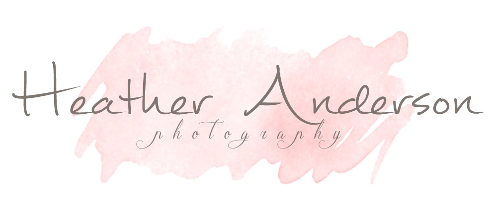 download - Meet Heather Anderson Photography!